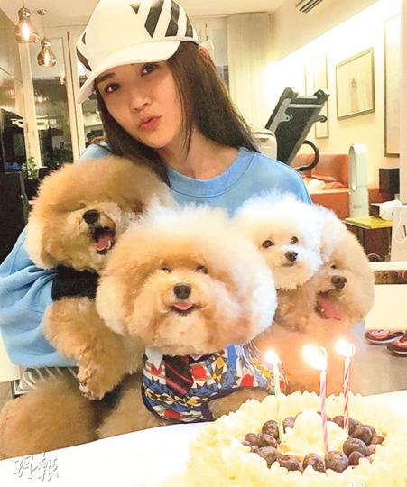 阿Sa抱着4隻愛犬在蛋糕前拍照,其中3隻在中秋節生日。(微博圖片) 阿Sa抱着4隻愛犬在蛋糕前拍照,其中3隻在中秋節生日。(微博圖片)