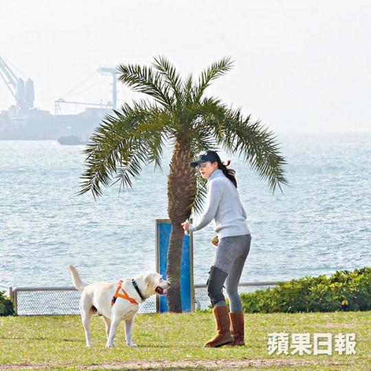 ■童愛玲與愛犬在公園玩得非常開心。
■童愛玲與愛犬在公園玩得非常開心。