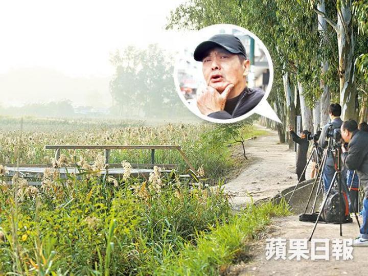 ■楊思琦表示南生圍是難得的綠洲美景。資料圖片
