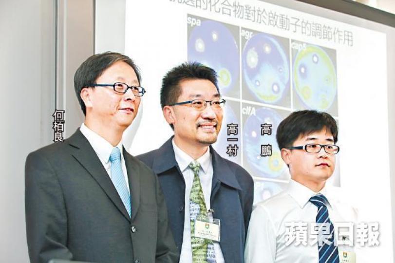 ■港大研究團隊稱冀能研發出非抗生素的治療MRSA藥物。李家皓攝