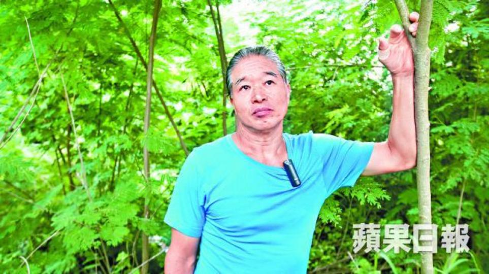 ■楊佳權估計，近年半以來野豬增長以倍數計。