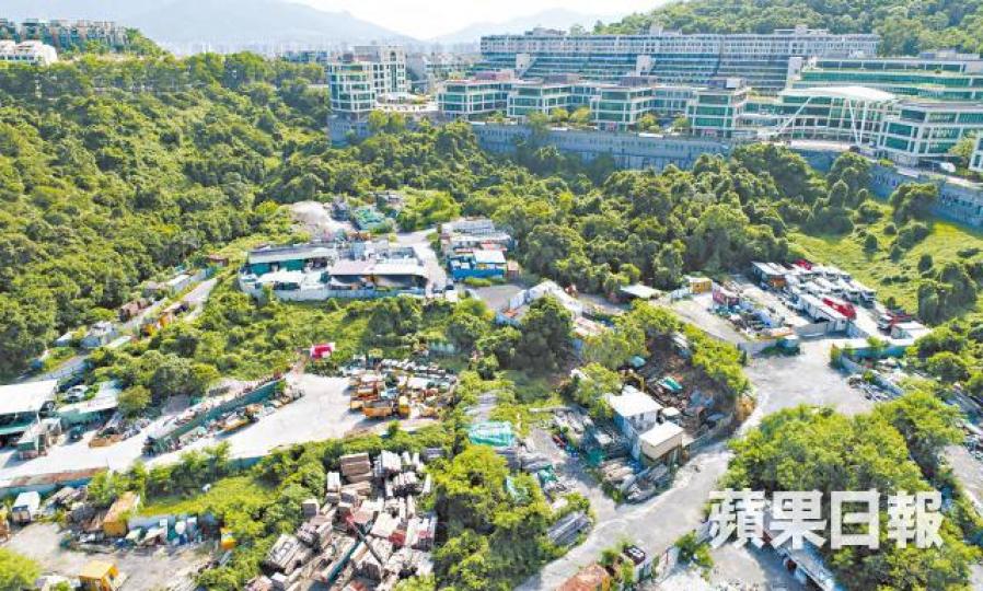 ■會德豐明言大埔洞梓一幅綠化地帶可建首置盤。 ■會德豐明言大埔洞梓一幅綠化地帶可建首置盤。
