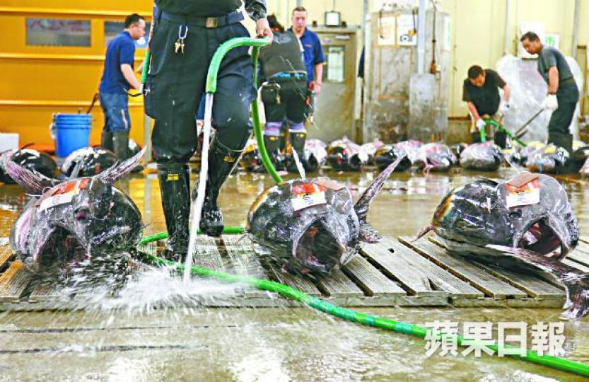 ■築地市場的拍賣全是人手投標,競價方法已有逾80年歷史。 ■築地市場的拍賣全是人手投標,競價方法已有逾80年歷史。