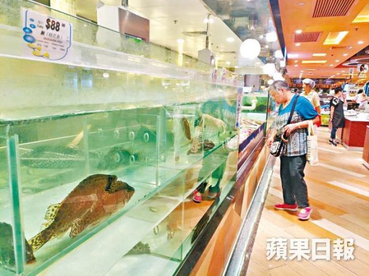 ■Taste及百佳超市有桂花魚樣本驗出含孔雀石綠。王子俊攝