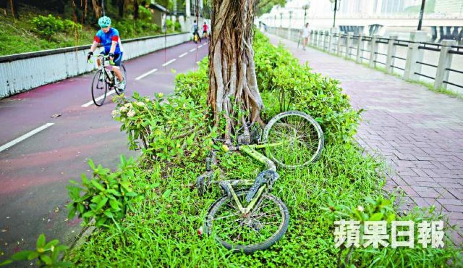 gobee.bike宣佈清盤結業後，不少共享單車被遺棄路旁。「沙田脈搏」召集人林宇星指多架單車損壞無法用清餘額；旁為同組織的羅健勤及張柏源。陸羽平攝