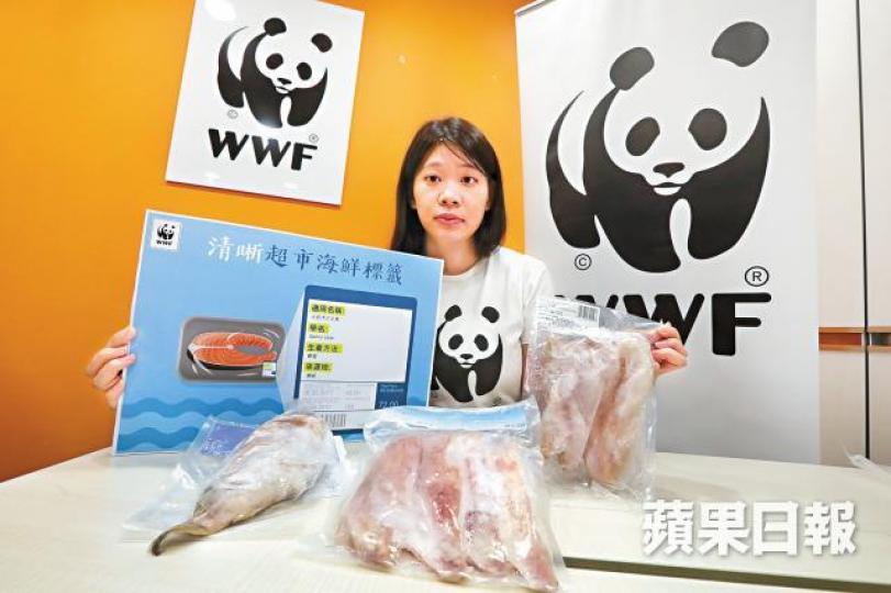 WWF主任陳悅珊表示,若食品標籤無準確學名,倘現食安問題需回收時,易現「漏網之魚」。朱永倫攝 WWF主任陳悅珊表示,若食品標籤無準確學名,倘現食安問題需回收時,易現「漏網之魚」。朱永倫攝