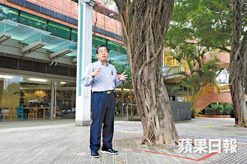 詹志勇指香港不少樹根被石屎包圍,難吸取養份健康成長。 詹志勇指香港不少樹根被石屎包圍,難吸取養份健康成長。