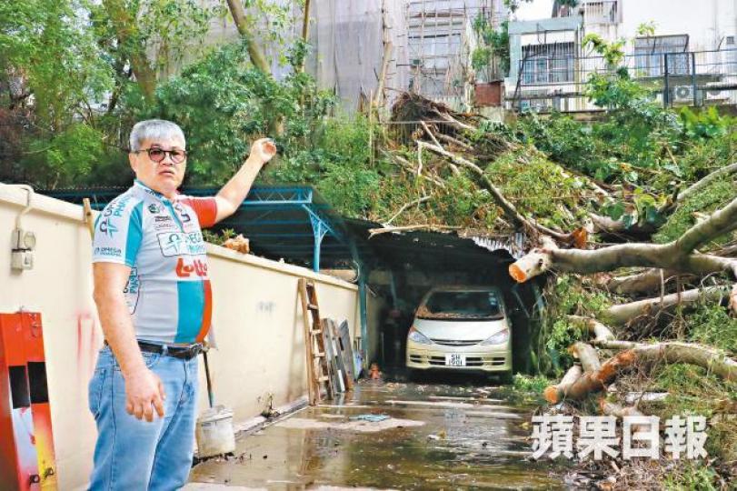 葉姓車主稱爬上山坡視察環境,一度「有上無落」。63歲鋸樹工人失足墮下受傷,送院治理。 葉姓車主稱爬上山坡視察環境,一度「有上無落」。63歲鋸樹工人失足墮下受傷,送院治理。