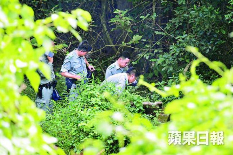 警員在附近的山坡草叢搜尋夾萬。 警員在附近的山坡草叢搜尋夾萬。