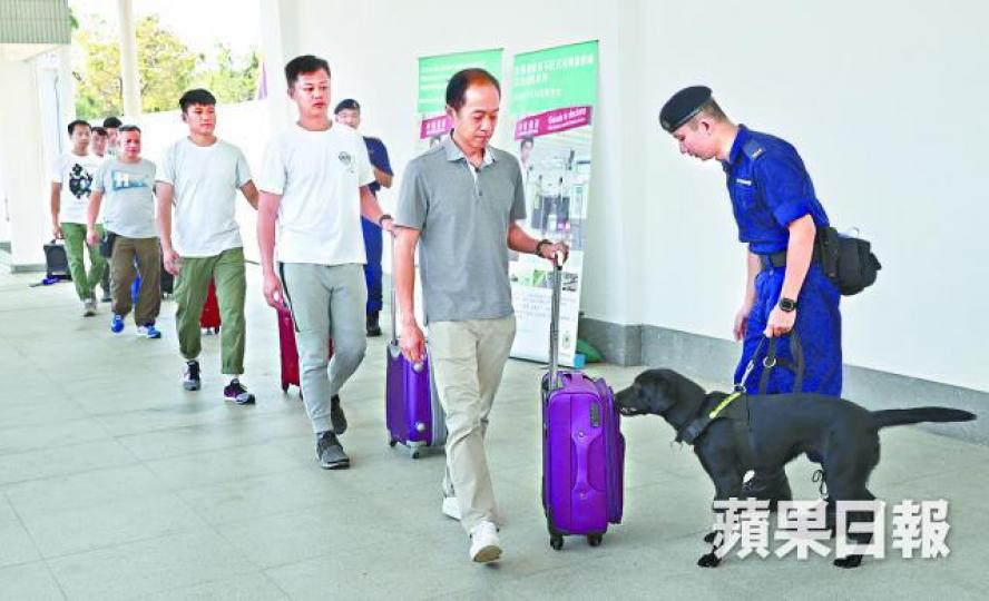 搜查犬憑鈔票氣味搜查大額現金。何家達攝 搜查犬憑鈔票氣味搜查大額現金。何家達攝