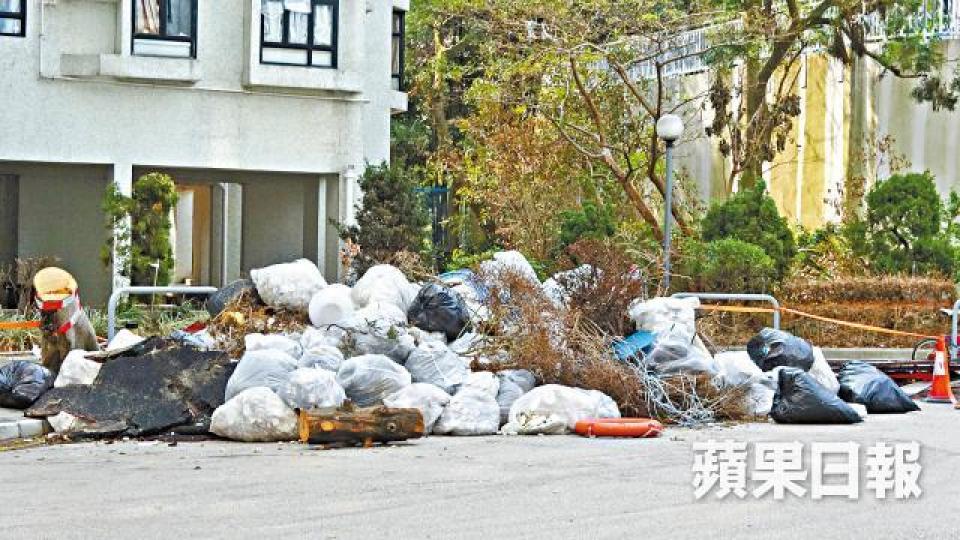 嚴重受災的杏花邨仍有不少工人清理塌樹、洗地及砌磚。 嚴重受災的杏花邨仍有不少工人清理塌樹、洗地及砌磚。