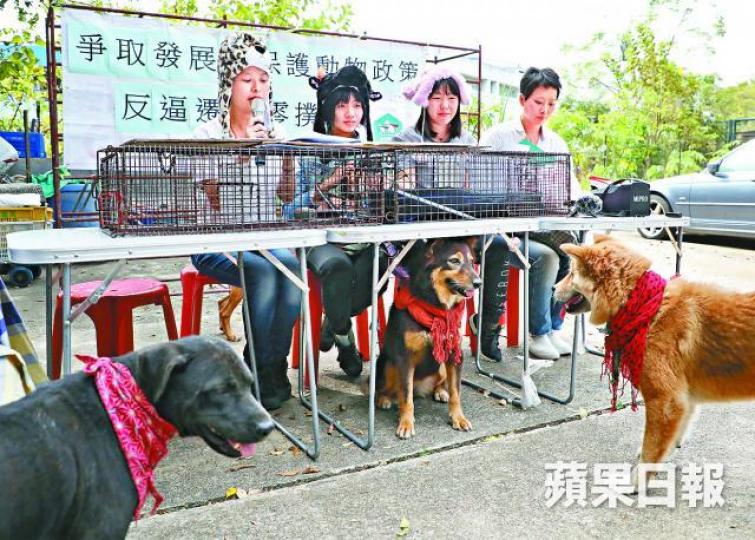 「東北反逼遷動物戰隊」斥政府在規劃發展中完全忽略社區動物。江俊豪攝戰隊料最少2,000隻貓狗將流離失所。 「東北反逼遷動物戰隊」斥政府在規劃發展中完全忽略社區動物。江俊豪攝戰隊料最少2,000隻貓狗將流離失所。