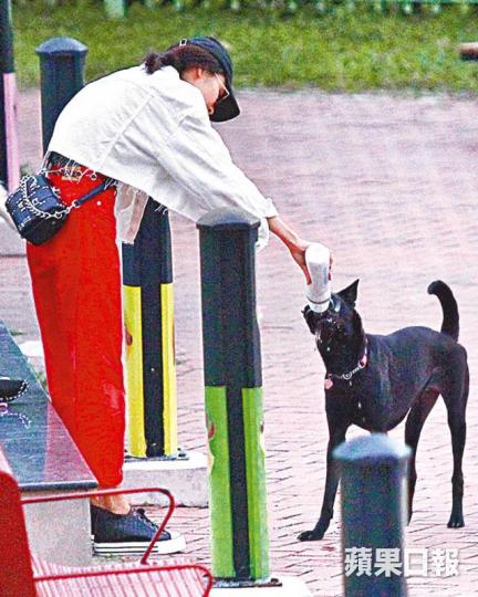 李佳芯日前素顏兼戴住cap帽放狗,不時餵愛犬「豆豉」飲水。李佳芯坐姿都幾豪邁,擘晒髀。 李佳芯日前素顏兼戴住cap帽放狗,不時餵愛犬「豆豉」飲水。李佳芯坐姿都幾豪邁,擘晒髀。