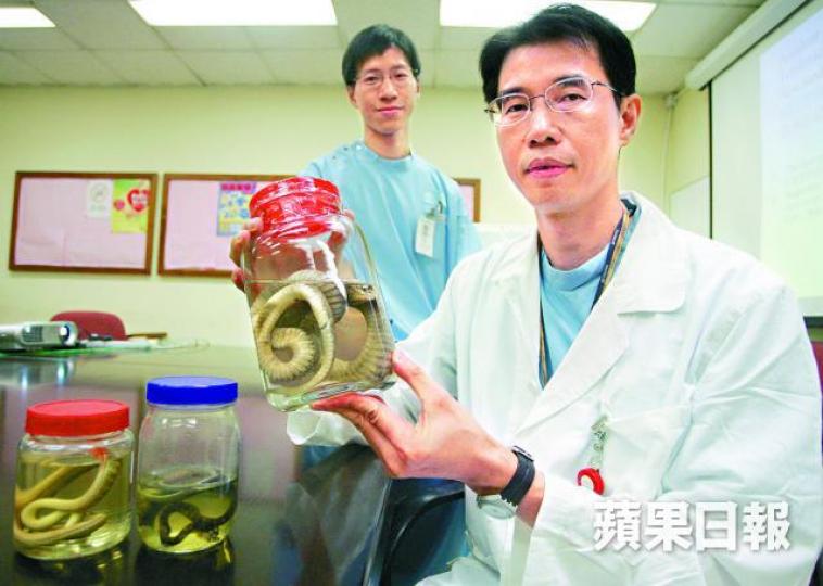 涉案的甘澤華醫生曾受訪,展示咬傷人的蛇標本。 涉案的甘澤華醫生曾受訪,展示咬傷人的蛇標本。