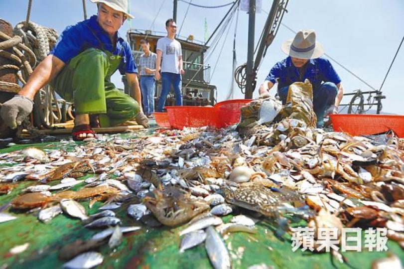 習近平大力提倡南中國海域捕魚,令當地海資源壓力大增。資料圖片 習近平大力提倡南中國海域捕魚,令當地海資源壓力大增。資料圖片