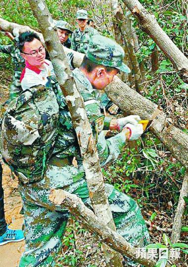 李家超認為解放軍清樹活動並無牴觸法律。
