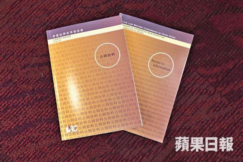 《公開資料》諮詢文件提出20項改革建議。