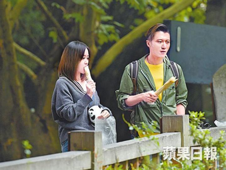 霆鋒為拍攝節目,早前和張靚穎去成都熊貓基地。 霆鋒為拍攝節目,早前和張靚穎去成都熊貓基地。