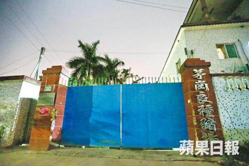 廣州茅崗良種豬場是供港豬場。 廣州茅崗良種豬場是供港豬場。