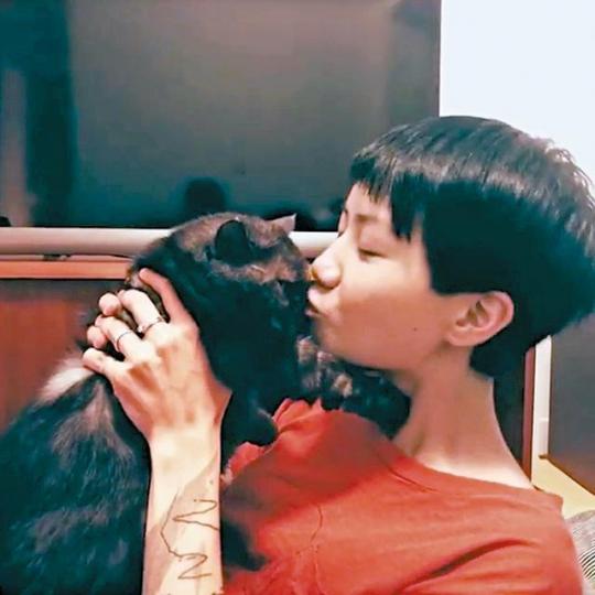盧凱彤藍潔瑛鄒文懷岳華李菁侯煥玲林燕妮 盧凱彤藍潔瑛鄒文懷岳華李菁侯煥玲林燕妮