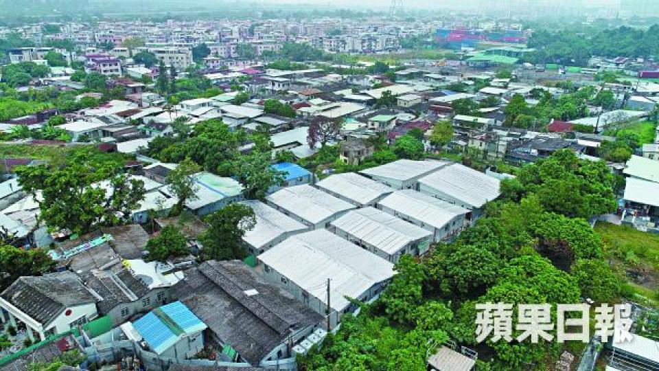屯門泥圍菜園村八間鐵皮屋被劏成套房出租,佔地1.3萬平方呎。黃文邦攝前年衞星圖片顯示涉事地段只有兩間寮屋及樹木;上月航拍圖片已出現八間簇新鐵皮屋。自稱業主的姓黃男子直認出租的均為寮屋。劏房內間隔四正,客廳有窗戶。鐵皮屋往大閘的通道鋪設地磚。 屯門泥圍菜園村八間鐵皮屋被劏成套房出租,佔地1.3萬平方呎。黃文邦攝前年衞星圖片顯示涉事地段只有兩間寮屋及樹木;上月航拍圖片已出現八間簇新鐵皮屋。自稱業主的姓黃男子直認出租的均為寮屋。劏房內間隔四正,客廳有窗戶。鐵皮屋往大閘的通道鋪設地磚。