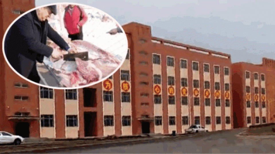 新疆官員在農曆新年逼穆斯林食豬肉,否則會將其關入再教育營。 新疆官員在農曆新年逼穆斯林食豬肉,否則會將其關入再教育營。