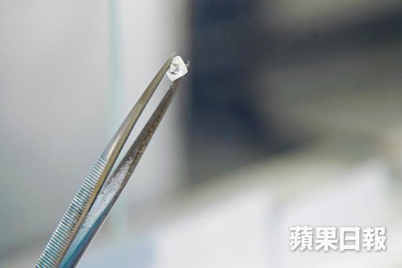 一顆石胚經打磨後,體積就會消耗逾50%。在運輸帶上的岩泥,極像建築廢料,但價值連城。挖土機挖出一噸噸含鑽量高的岩泥,再用大型卡車運去工場。Vivid Orange Yellow(15.11卡)Fancy Deep Purple Pink(11.06卡) 一顆石胚經打磨後,體積就會消耗逾50%。在運輸帶上的岩泥,極像建築廢料,但價值連城。挖土機挖出一噸噸含鑽量高的岩泥,再用大型卡車運去工場。Vivid Orange Yellow(15.11卡)Fancy Deep Purple Pink(11.06卡)