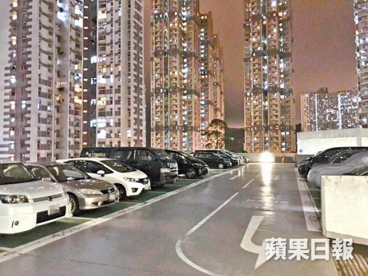 粉嶺欣盛苑放售250個車位,並獲投資者掃貨。 粉嶺欣盛苑放售250個車位,並獲投資者掃貨。