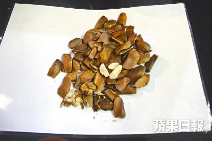 向天果(圖)是桃花心木果實種子,屬性涼且味苦。鄭大康攝 向天果(圖)是桃花心木果實種子,屬性涼且味苦。鄭大康攝