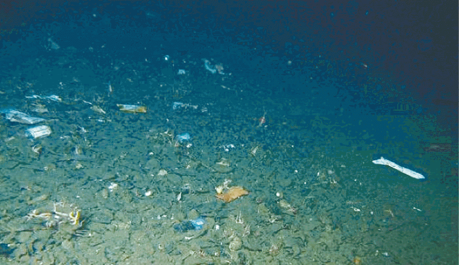 之前有深海探索發現海岸佈滿塑膠垃圾。 之前有深海探索發現海岸佈滿塑膠垃圾。