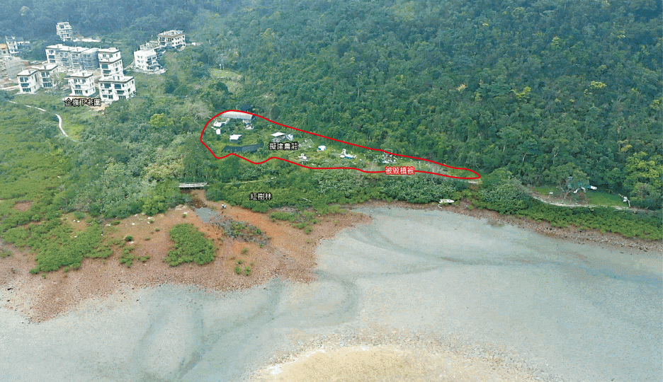 【今年】企嶺下的海岸保護區內土地計劃興建休閒農莊，日後遊客人流恐破壞附近紅樹林生態。黃文邦攝【2012年】衞星圖顯示該地植被仍未破壞。農莊土地現時未動工，雜物遍地。
