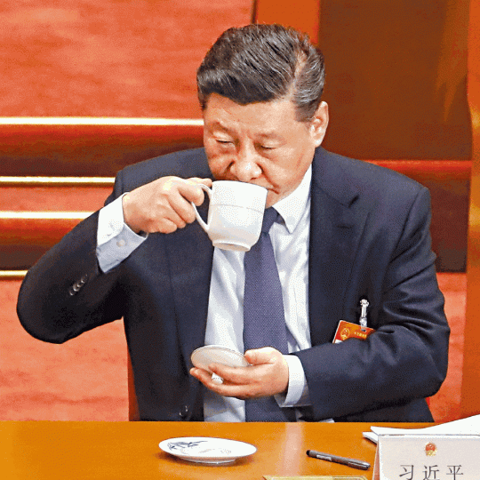 【2019年】習近平在兩會期間，以灰白頭髮示人。【2013年】習上台初期頭髮烏黑亮麗。資料圖片