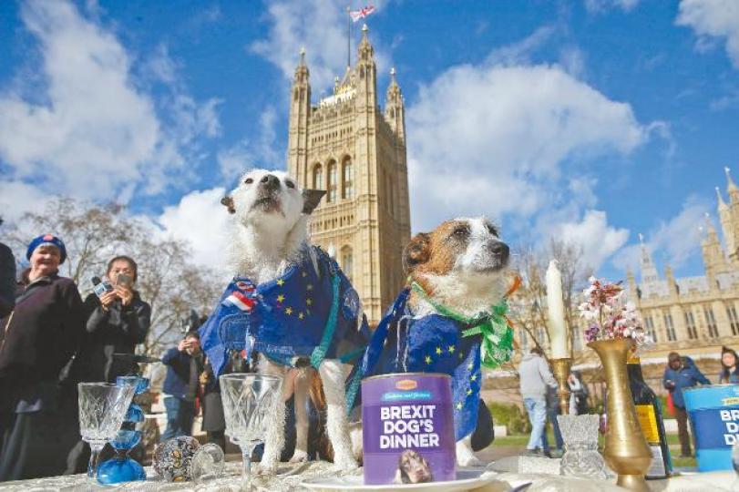 英國反脫歐示威者在國會外將脫歐諷刺為「狗晚餐」。 英國反脫歐示威者在國會外將脫歐諷刺為「狗晚餐」。