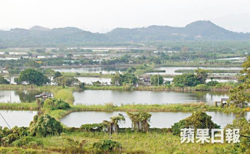 元朗豐樂圍地皮位處拉姆薩爾濕地,極具生態價值。資料圖片李澤鉅任主席的長實,其豐樂圍項目准建19幢分層住宅。資料圖片 元朗豐樂圍地皮位處拉姆薩爾濕地,極具生態價值。資料圖片李澤鉅任主席的長實,其豐樂圍項目准建19幢分層住宅。資料圖片