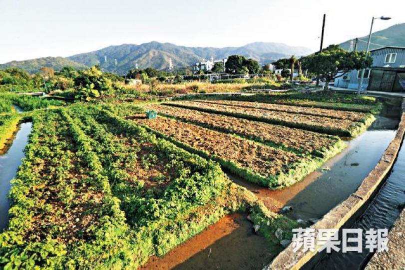 農業園計劃影響蕉徑一帶農地,部份農戶更被逼遷。資料圖片 農業園計劃影響蕉徑一帶農地,部份農戶更被逼遷。資料圖片