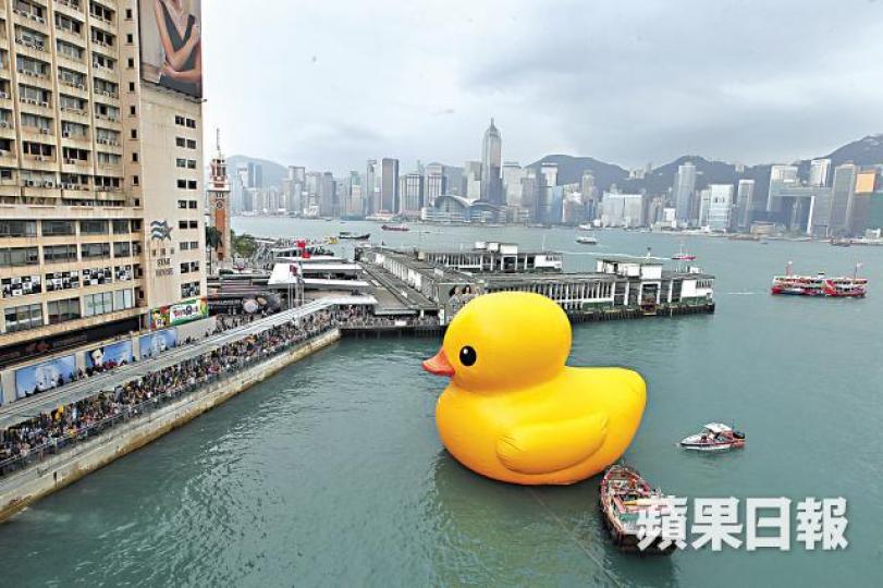 六年前展出的巨型黃鴨,迴響較COMPANION大。 六年前展出的巨型黃鴨,迴響較COMPANION大。