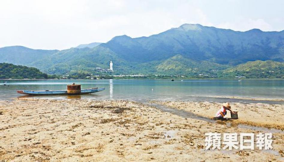 涉事地點大埔三門仔曾多次發生遇溺意外。資料圖片 涉事地點大埔三門仔曾多次發生遇溺意外。資料圖片