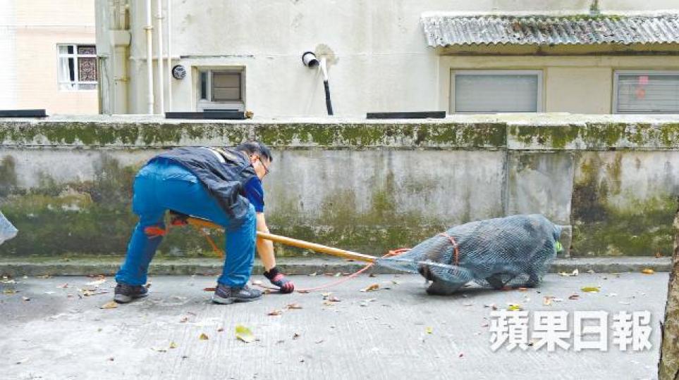 張培生攝 張培生攝