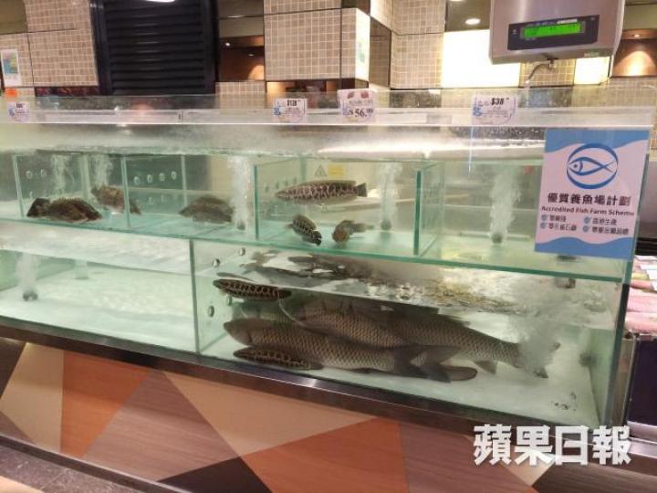 食安中心抽驗本港零售層面340個水產樣本,發現60%含有至少一種有機錫化合物。 食安中心抽驗本港零售層面340個水產樣本,發現60%含有至少一種有機錫化合物。