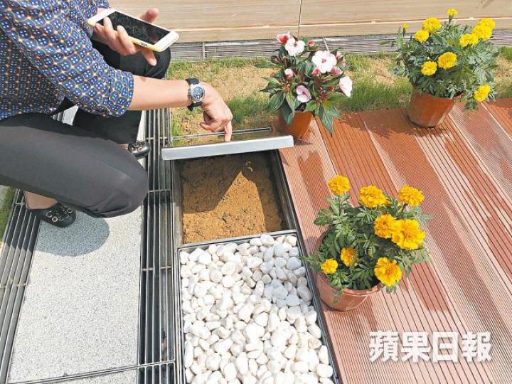 永愛園位於和合石,安放位置呈長方形,內有泥土讓胎兒入土為安(圖)。盧珮瑤攝永愛園 食環署圖片 永愛園位於和合石,安放位置呈長方形,內有泥土讓胎兒入土為安(圖)。盧珮瑤攝永愛園 食環署圖片