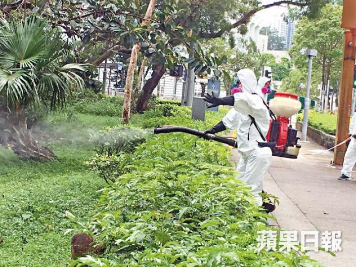 政府的滅蚊工作包括於鄰近民居的樹木茂盛地點以霧化處理方法,殺滅成蚊。李思潁攝新型捕蚊器(右)主要幫助控制成蚊及其幼蟲數量,有別於誘蚊產卵器(左)着重監察。 政府的滅蚊工作包括於鄰近民居的樹木茂盛地點以霧化處理方法,殺滅成蚊。李思潁攝新型捕蚊器(右)主要幫助控制成蚊及其幼蟲數量,有別於誘蚊產卵器(左)着重監察。