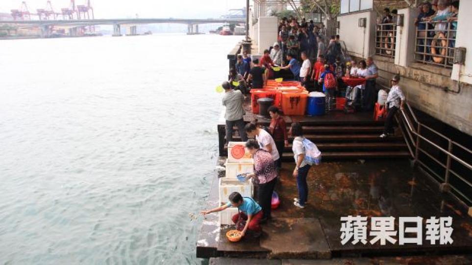 修例後如有市民因放生導致動物死亡,有可能被檢控。資料圖片 修例後如有市民因放生導致動物死亡,有可能被檢控。資料圖片