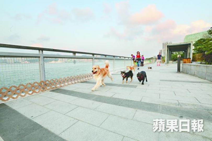 市民養寵物前,應確保能提供適當生活條件。 市民養寵物前,應確保能提供適當生活條件。