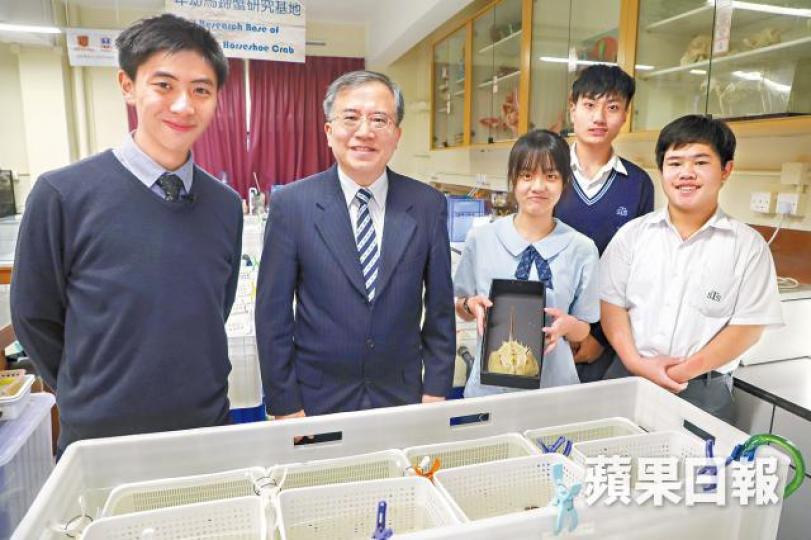 崇真中學部校長柯財權(左二)指,長遠希望在西貢物色馬蹄蟹放生點。有份參與計劃的生物科教師吳熙文(左二)指照顧馬蹄蟹難度大。年幼馬蹄蟹進食時會在沙面,休息時會潛入沙底。 崇真中學部校長柯財權(左二)指,長遠希望在西貢物色馬蹄蟹放生點。有份參與計劃的生物科教師吳熙文(左二)指照顧馬蹄蟹難度大。年幼馬蹄蟹進食時會在沙面,休息時會潛入沙底。