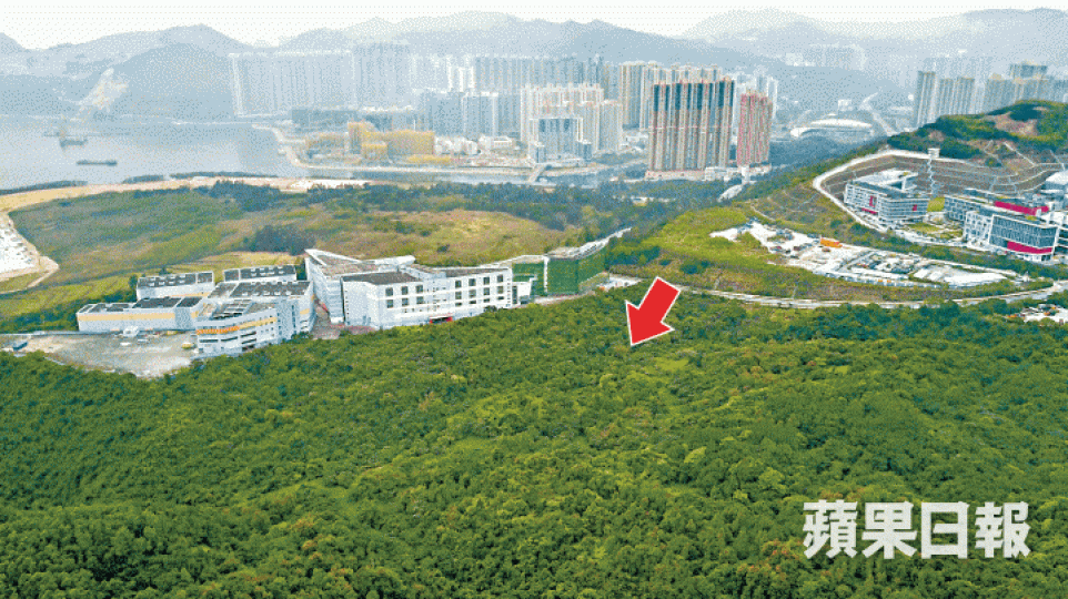 香港電影城以東公營房屋發展計劃(箭嘴示)提供3,140個單位。林寶益攝西貢區議員張美雄反對此建屋計劃。資料圖片 香港電影城以東公營房屋發展計劃(箭嘴示)提供3,140個單位。林寶益攝西貢區議員張美雄反對此建屋計劃。資料圖片