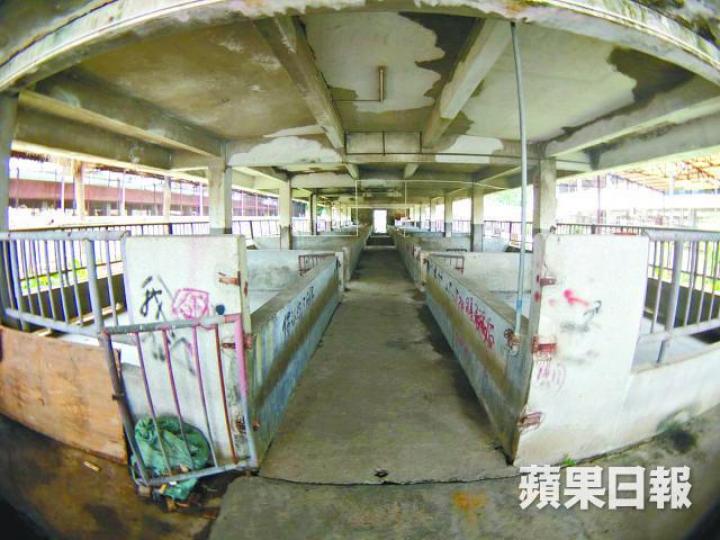 深圳清水河供港活豬中轉站空無一豬,亦無豬糞或異味。《蘋果》記者攝 深圳清水河供港活豬中轉站空無一豬,亦無豬糞或異味。《蘋果》記者攝