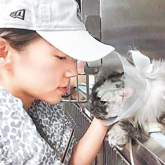 互聯網圖片