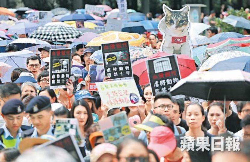 大批市民昨遊行為受虐動物發聲。有市民帶同寵物遊行。 大批市民昨遊行為受虐動物發聲。有市民帶同寵物遊行。