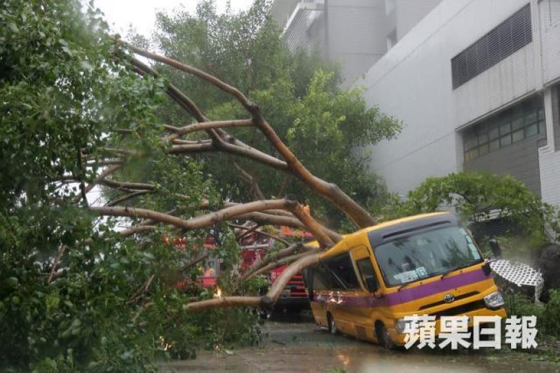 颱風山竹去年於香港多處造成嚴重破壞。 資料圖片 颱風山竹去年於香港多處造成嚴重破壞。 資料圖片