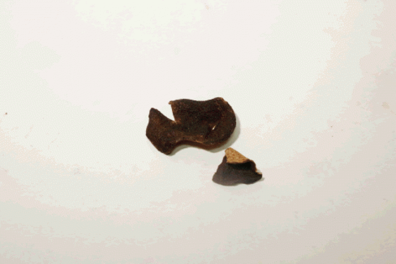 煲湯時加入陳皮，有理氣健脾之效。